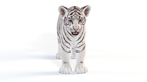 Realistic White Tiger Cub 3D Model for Download Thumbnail