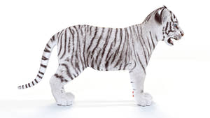 Realistic White Tiger Cub 3D Model for Download Thumbnail