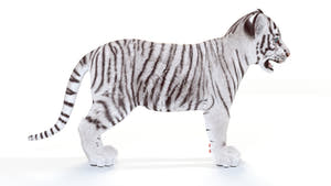 Realistic White Tiger Cub 3D Model for Download Thumbnail
