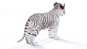Realistic White Tiger Cub 3D Model for Download Thumbnail