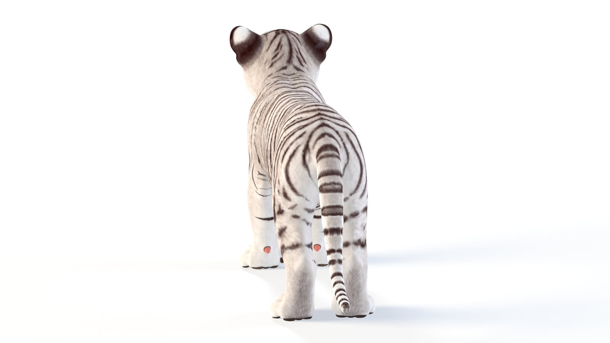 Realistic White Tiger Cub 3D Model for Download