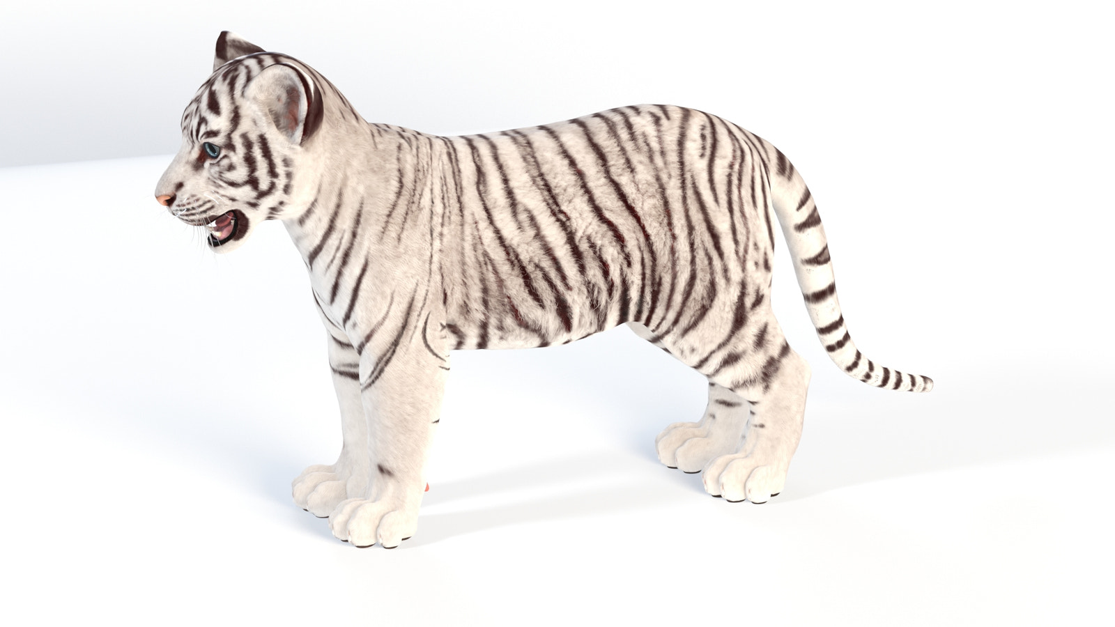 Realistic White Tiger Cub 3D Model for Download