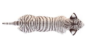 Realistic White Tiger Cub 3D Top View Thumbnail