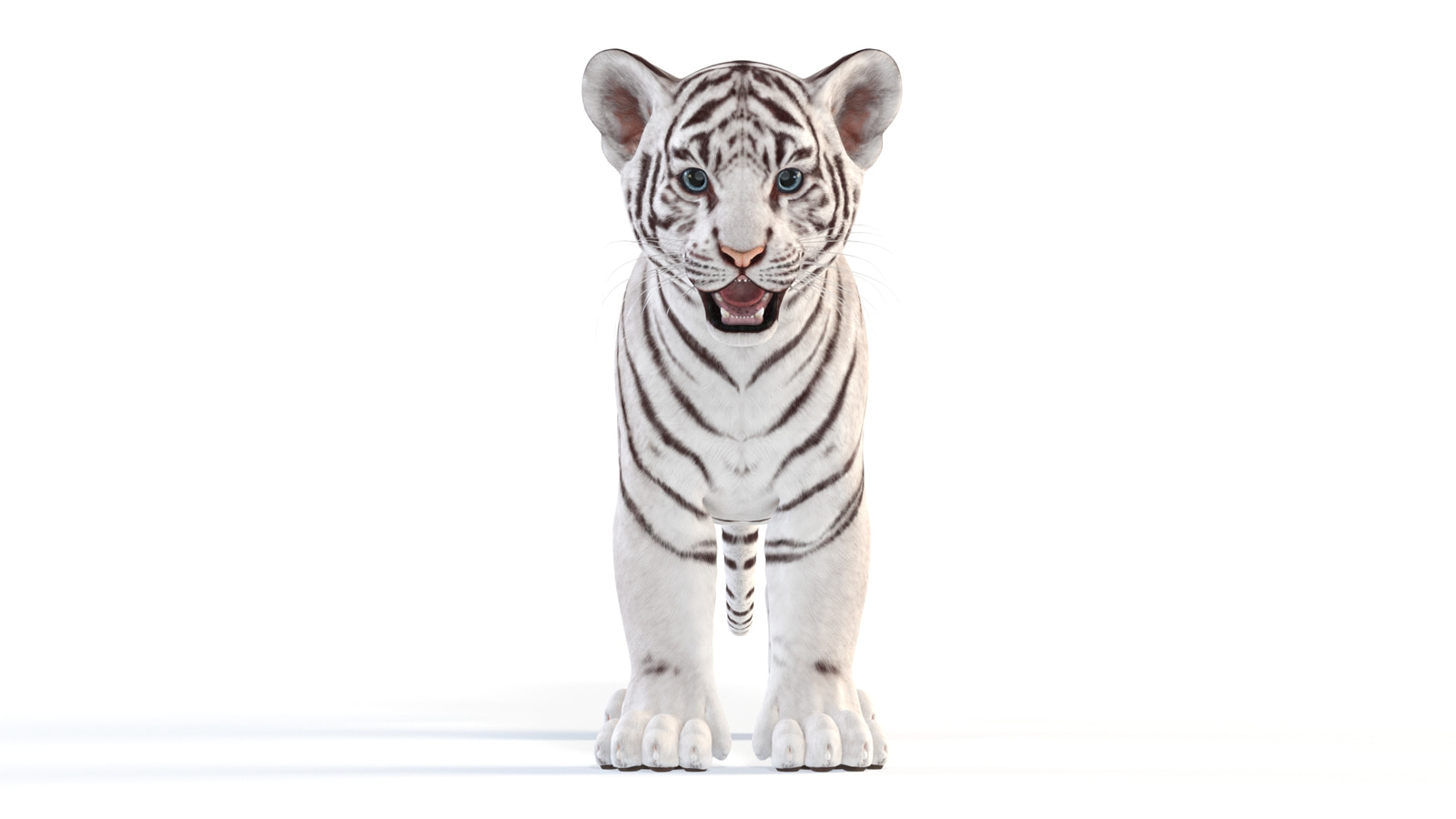 Realistic White Tiger Cub 3D Model for your project