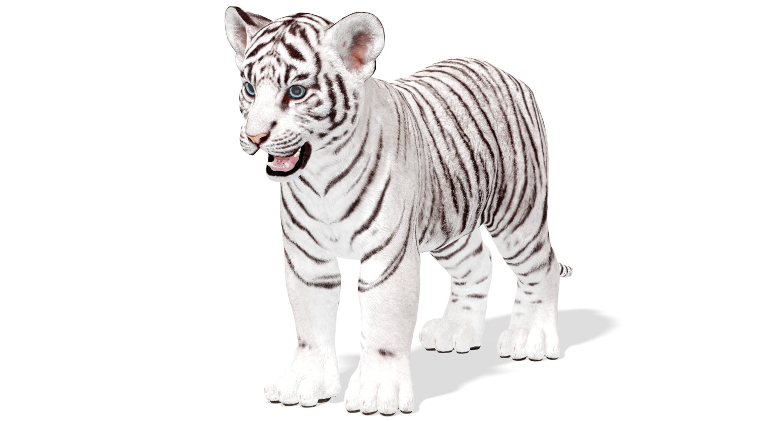 Realistic White Tiger Cub 3D Model Scanline Renderer