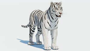 Realistic Siberian white tiger 3D model for Download Thumbnail