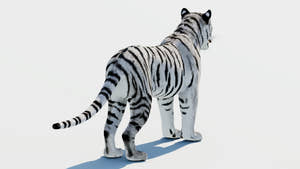 Siberian White Tiger 3D Model Thumbnail