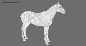 Horse Grey 3D Model Thumbnail