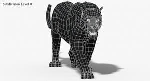 Big Cats 3D Model Animated Thumbnail