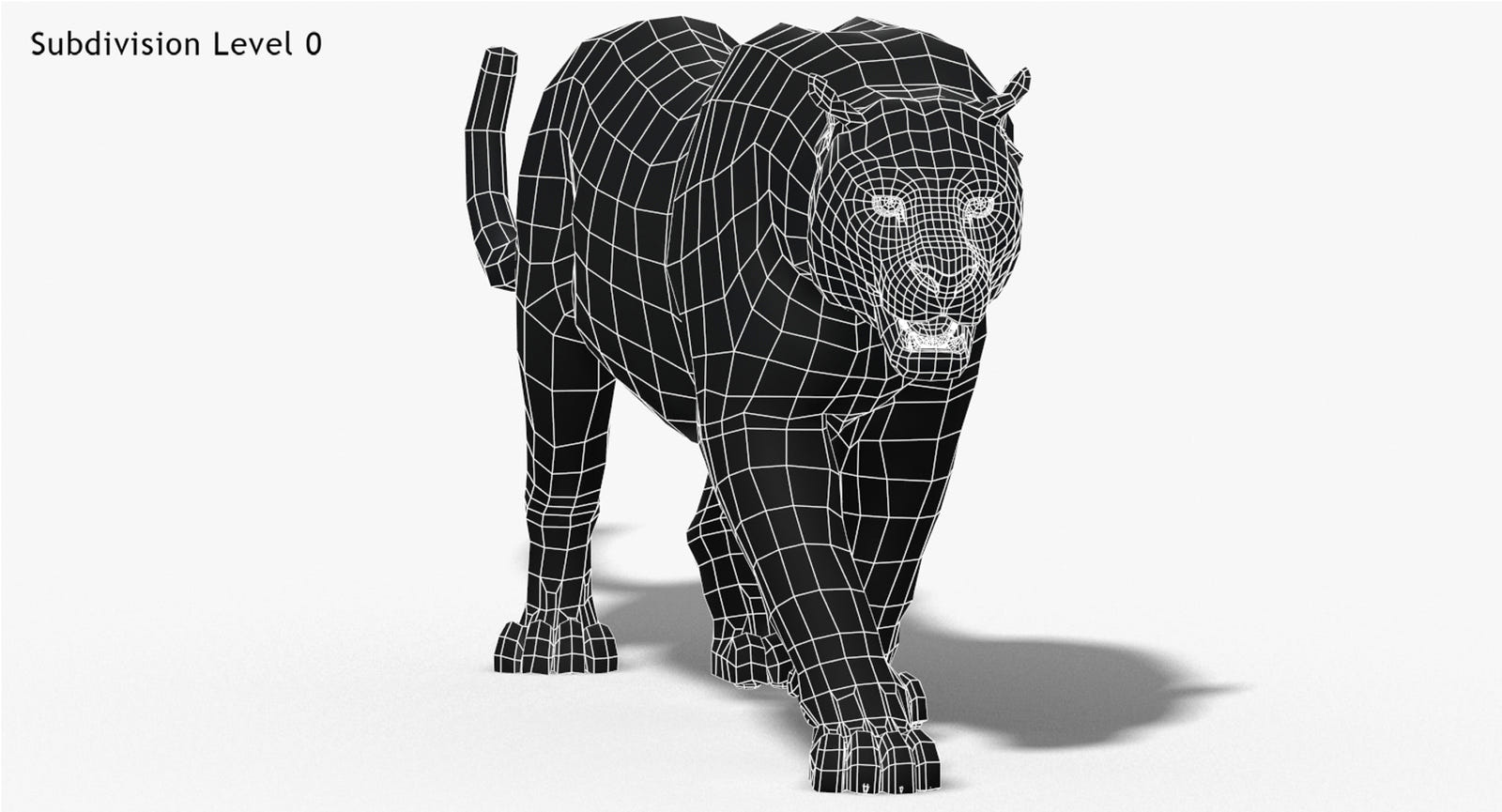 Big Cats 3D Model Animated