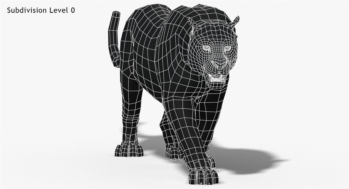 Big Cats 3D Model Animated