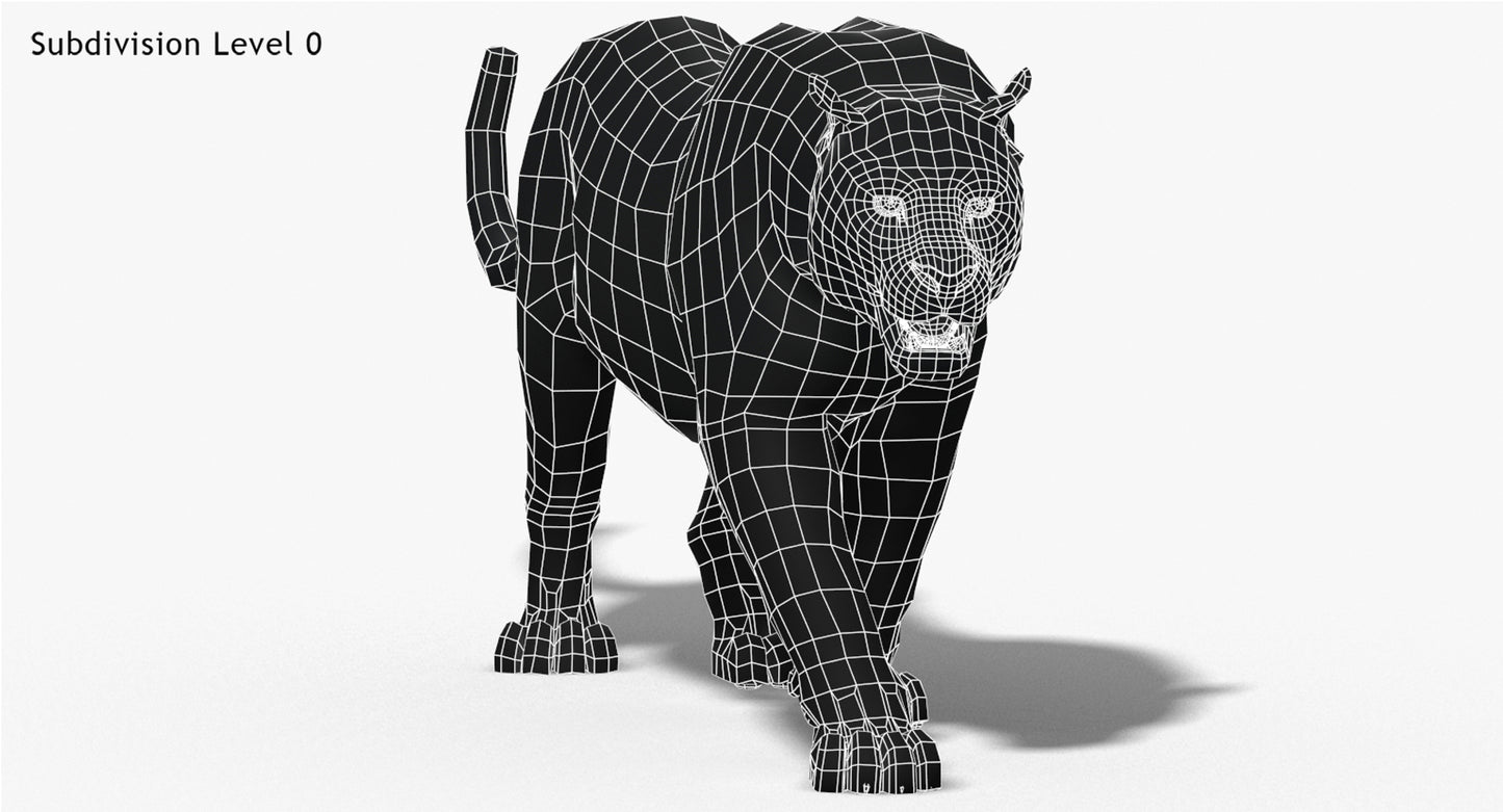 Big Cats 3D Model Animated