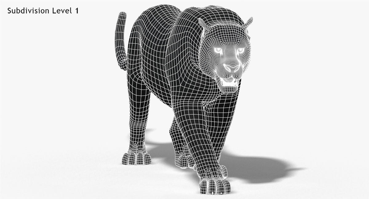 Big Cats 3D Model Animated