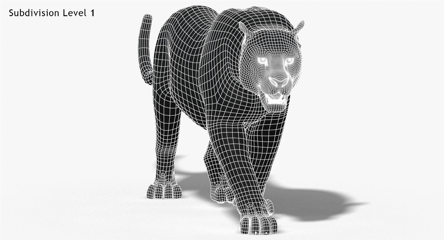 Big Cats 3D Model Animated