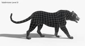 Big Cats 3D Model Animated Thumbnail