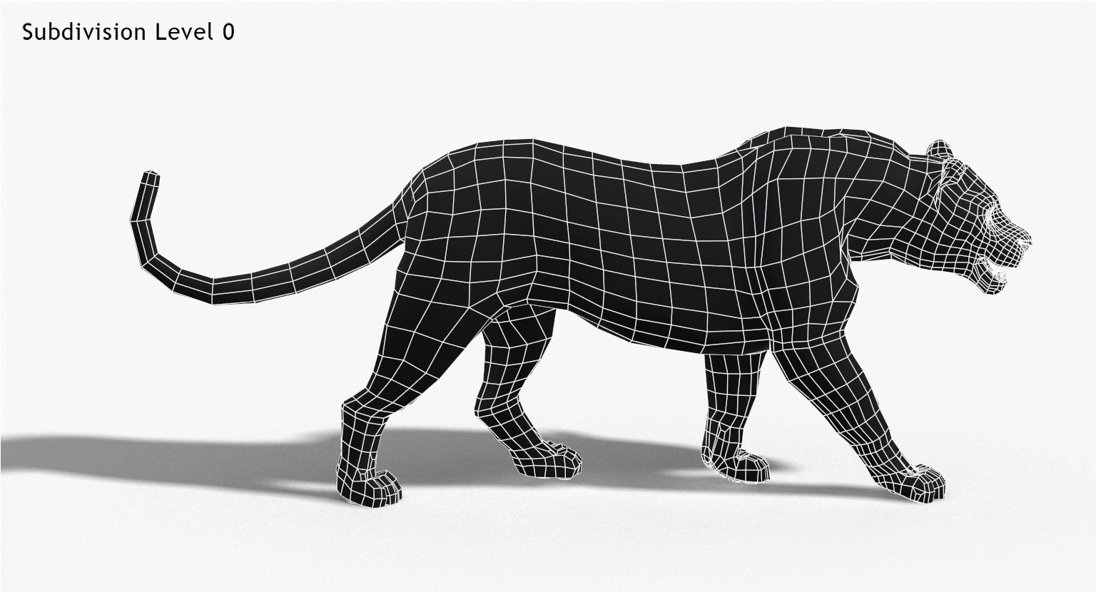 Big Cats 3D Model Animated