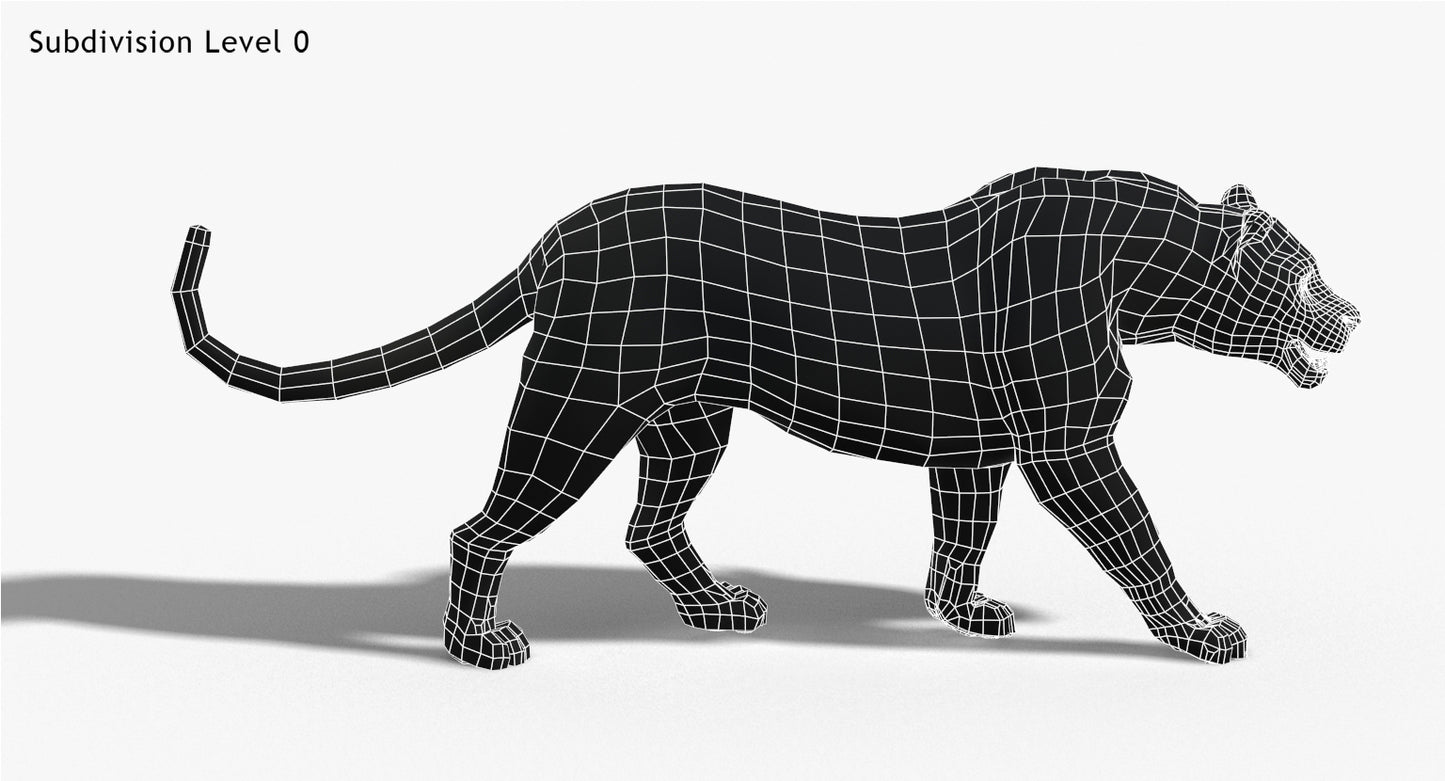 Big Cats 3D Model Animated