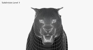 Big Cats 3D Model Animated Thumbnail