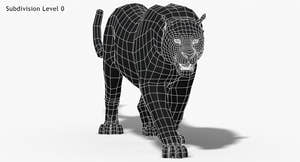 Big Cats 3D Model Animated Thumbnail