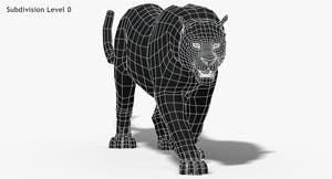 Big Cats 3D Model Animated Thumbnail