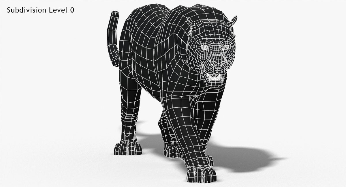 Big Cats 3D Model Animated