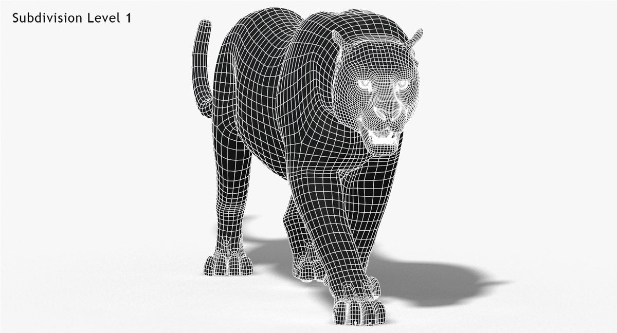 Big Cats 3D Model Animated