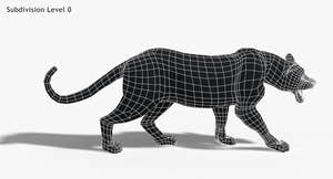 Big Cats 3D Model Animated Thumbnail