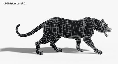Big Cats 3D Model Animated