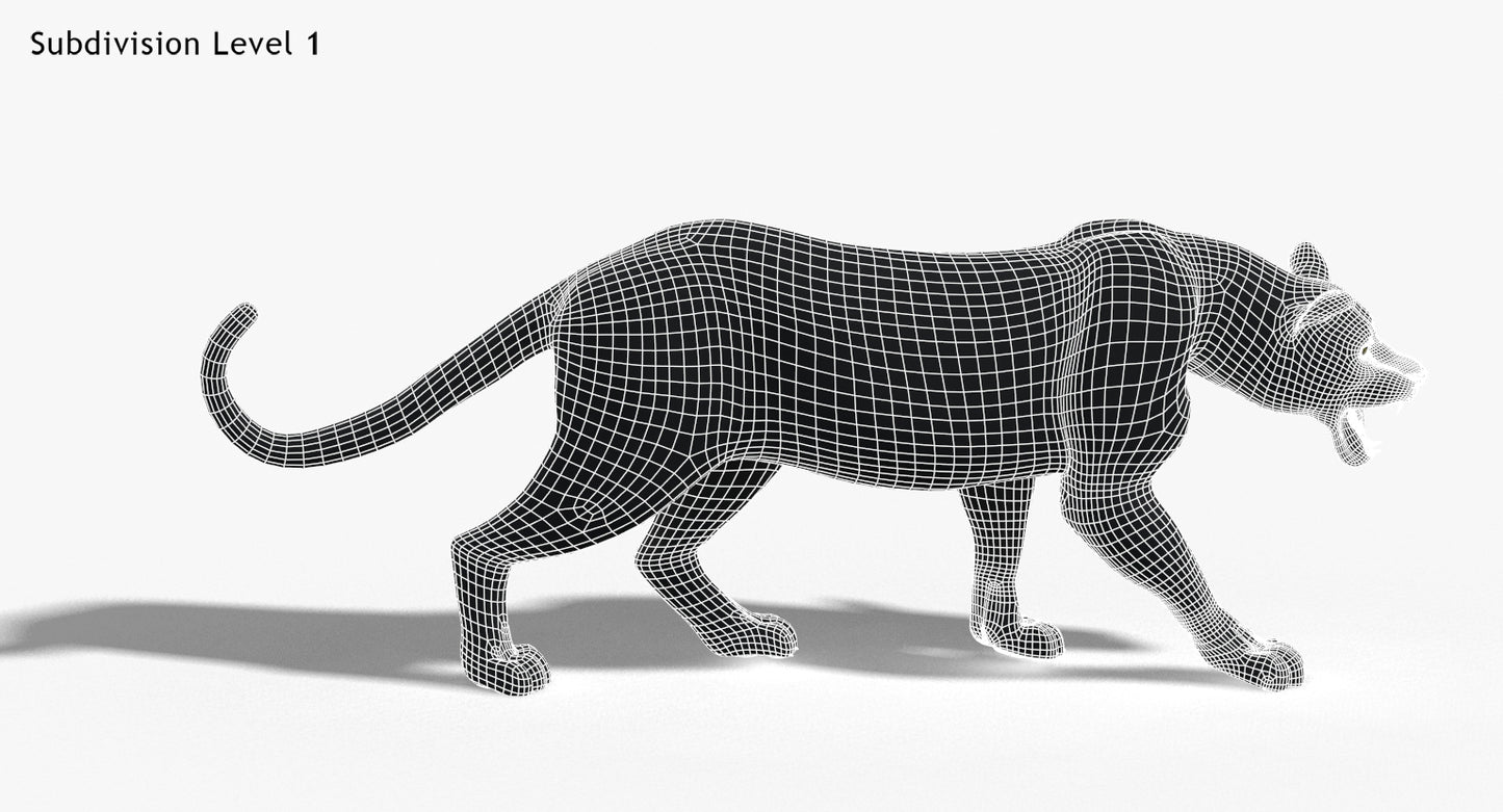 Big Cats 3D Model Animated
