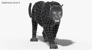 Leopard and Panther Animated 3D Model Thumbnail