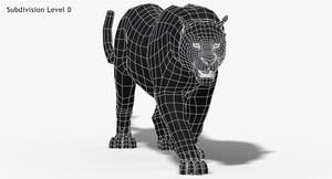 Leopard and Panther Animated 3D Model Thumbnail