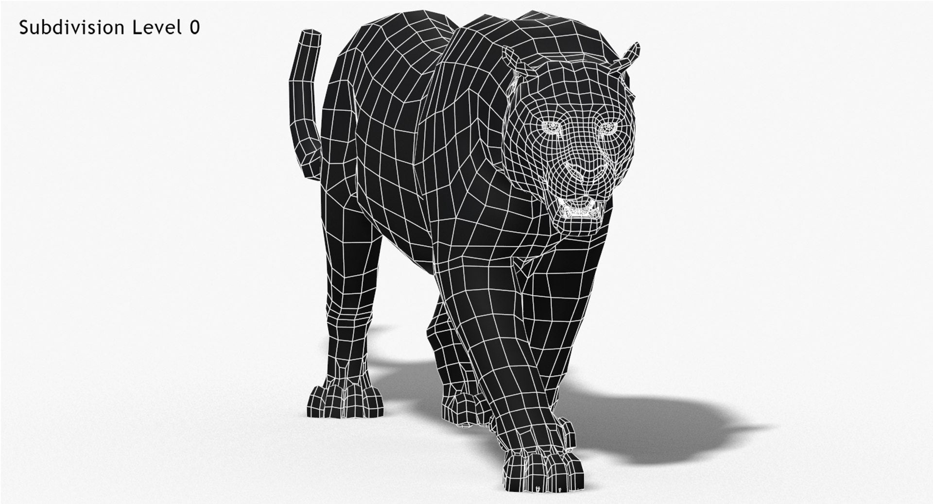 Leopard and Panther Animated 3D Model