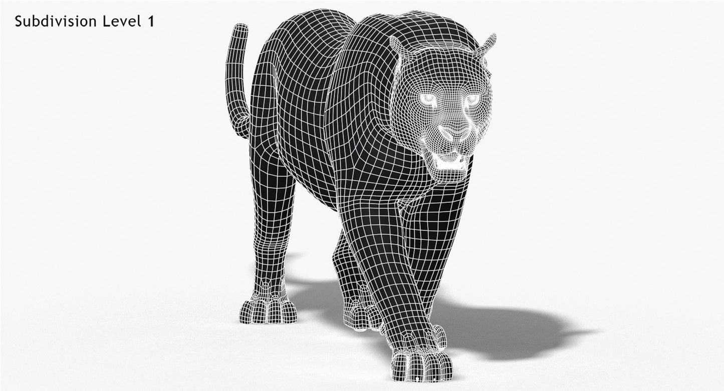 Leopard and Panther Animated 3D Model