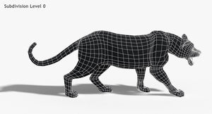 Leopard and Panther Animated 3D Model Thumbnail