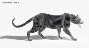 Leopard and Panther Animated 3D Model Thumbnail