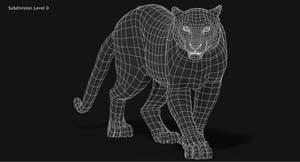 Snow Leopard 3D Model Wireframe view Subdivision Level 0 Thumbnail