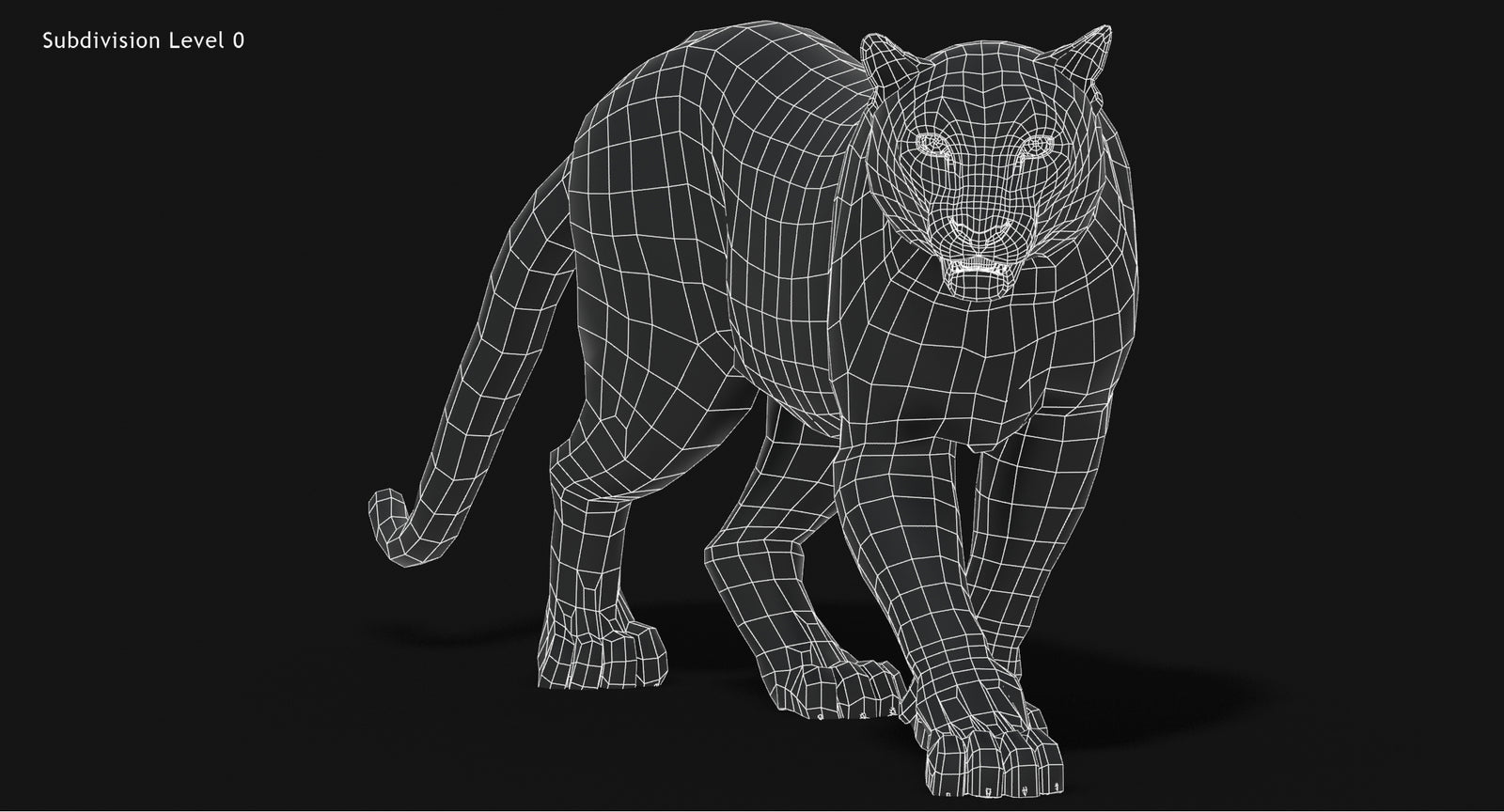 Snow Leopard 3D Model Wireframe view Subdivision Level 0
