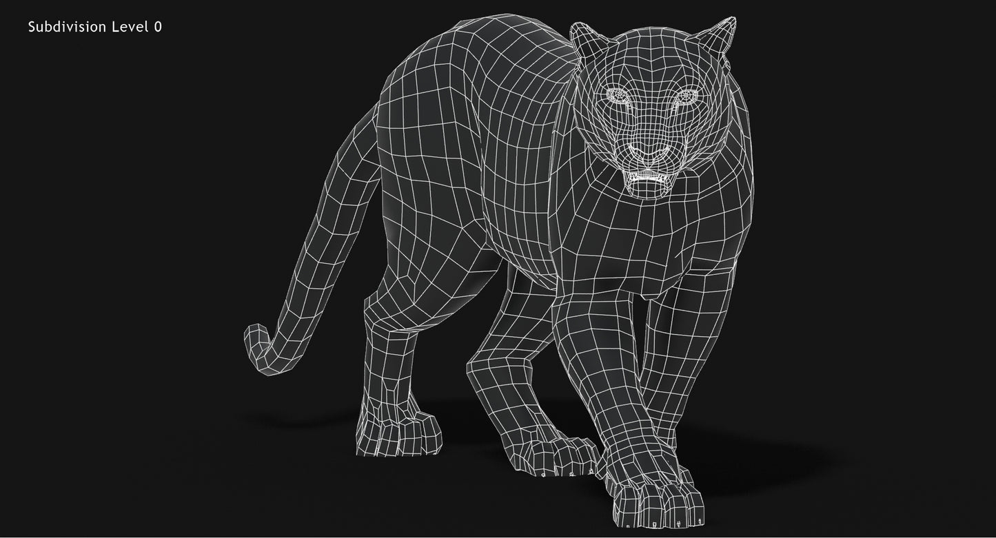 Snow Leopard 3D Model Animated