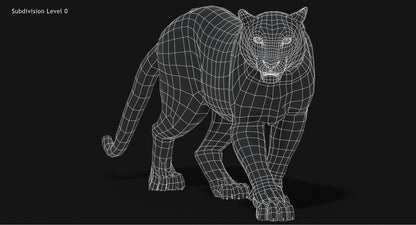 Snow Leopard 3D Model Animated