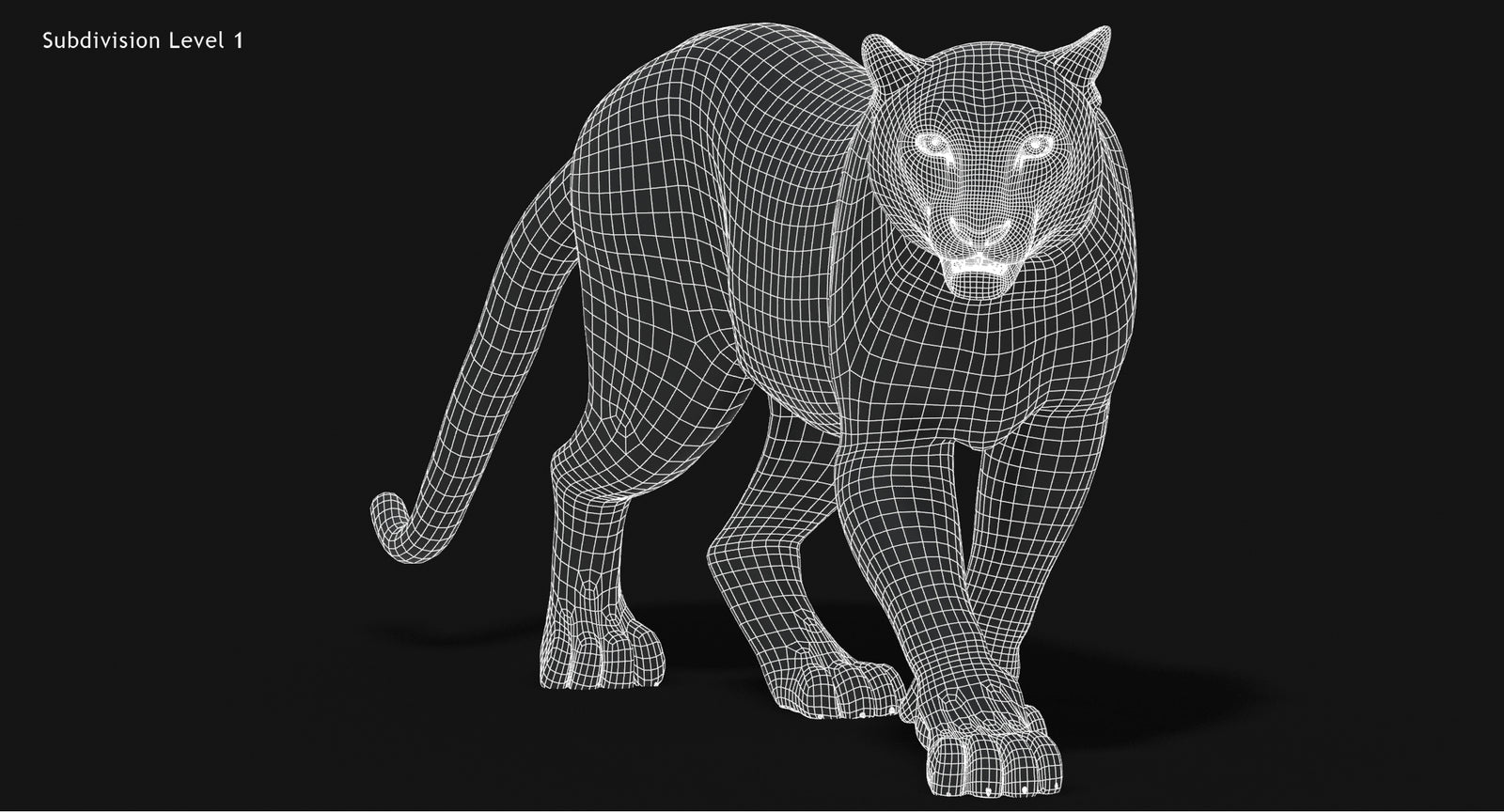 Snow Leopard 3D Model Wireframe view Subdivision Level 1
