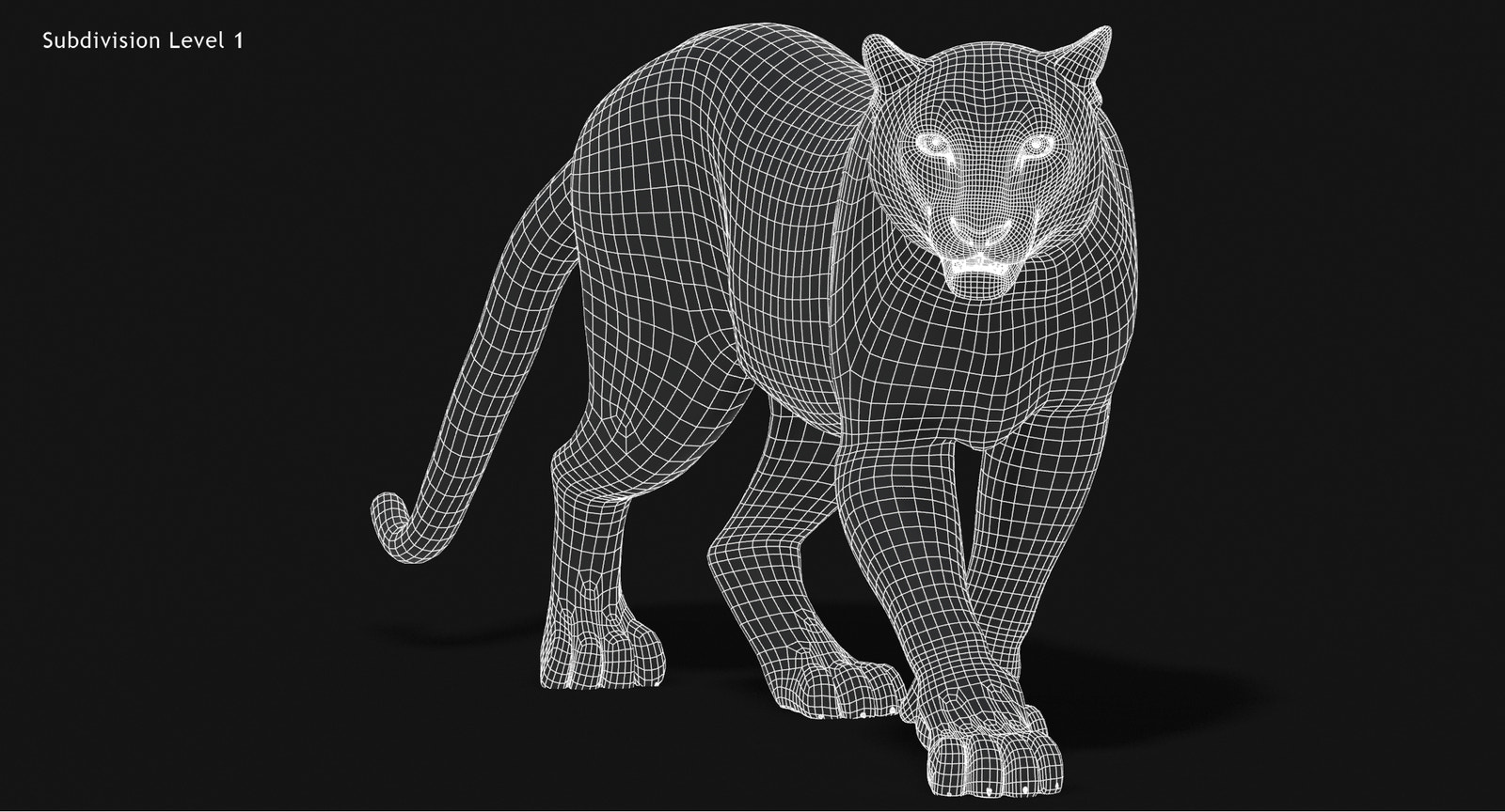 Snow Leopard 3D Model Wireframe view Subdivision Level 1