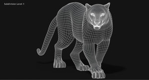 Snow Leopard 3D Model Wireframe view Subdivision Level 1 Thumbnail