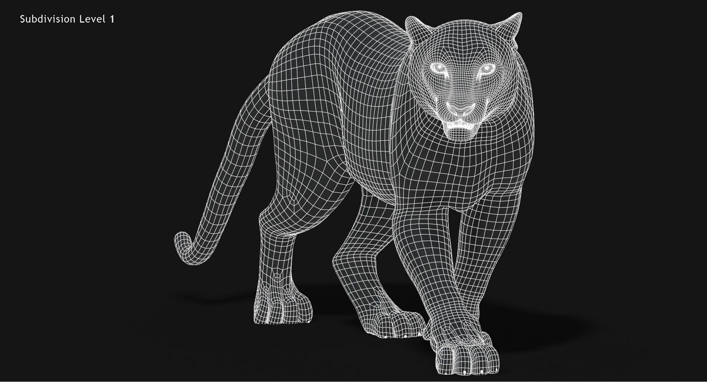 Snow Leopard 3D Model Animated