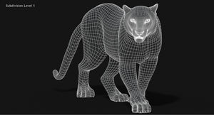 Snow Leopard 3D Model Wireframe view Subdivision Level 1 Thumbnail