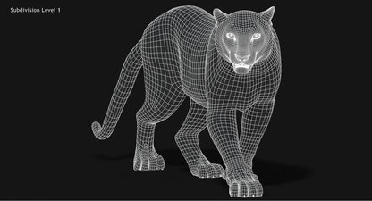 Snow Leopard 3D Model Animated