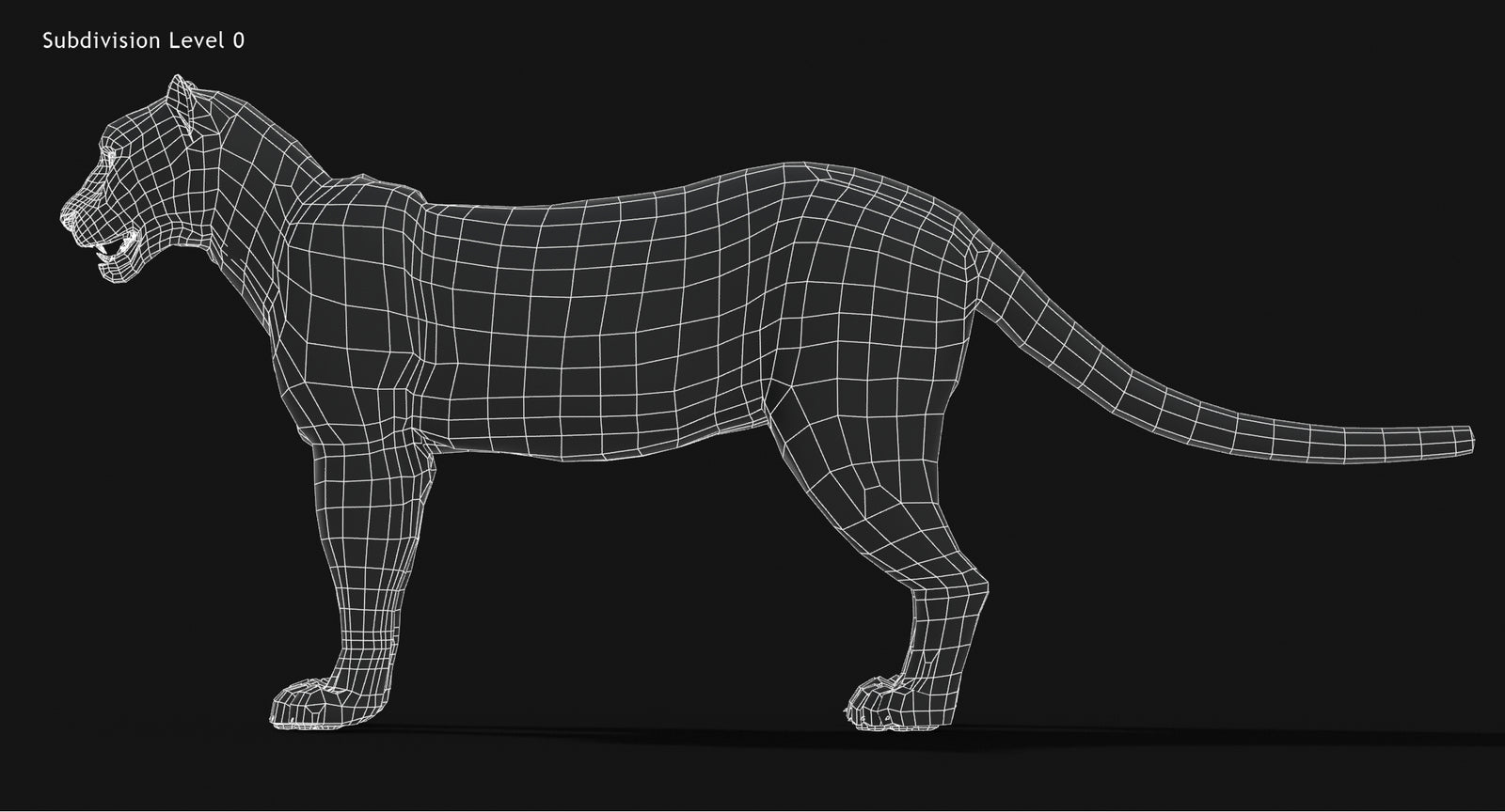 Snow Leopard 3D Model Wireframe view Subdivision Level 0