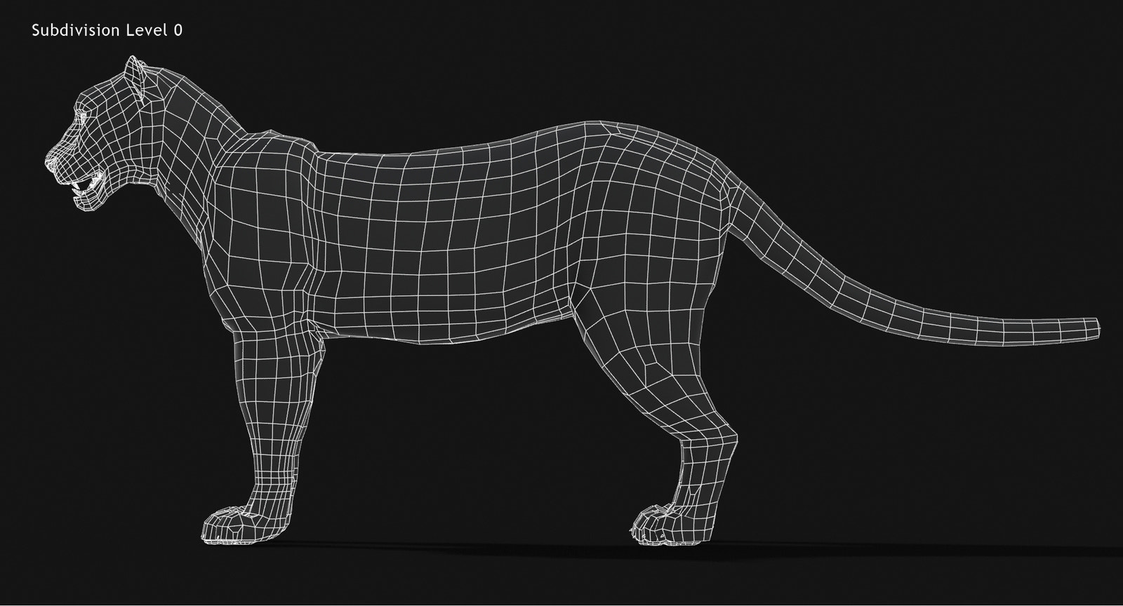 Snow Leopard 3D Model Wireframe view Subdivision Level 0