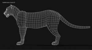 Snow Leopard 3D Model Wireframe view Subdivision Level 0 Thumbnail