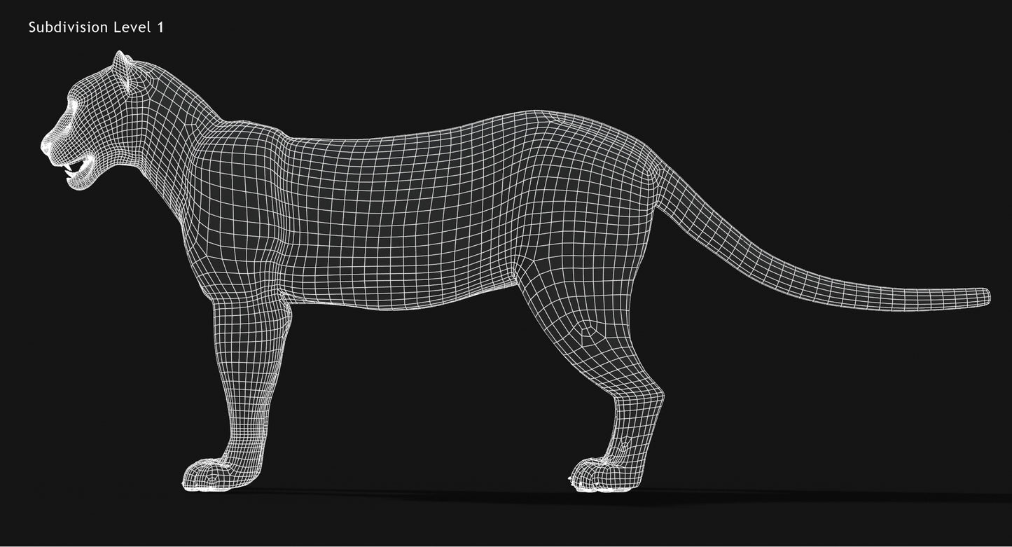 Snow Leopard 3D Model Animated