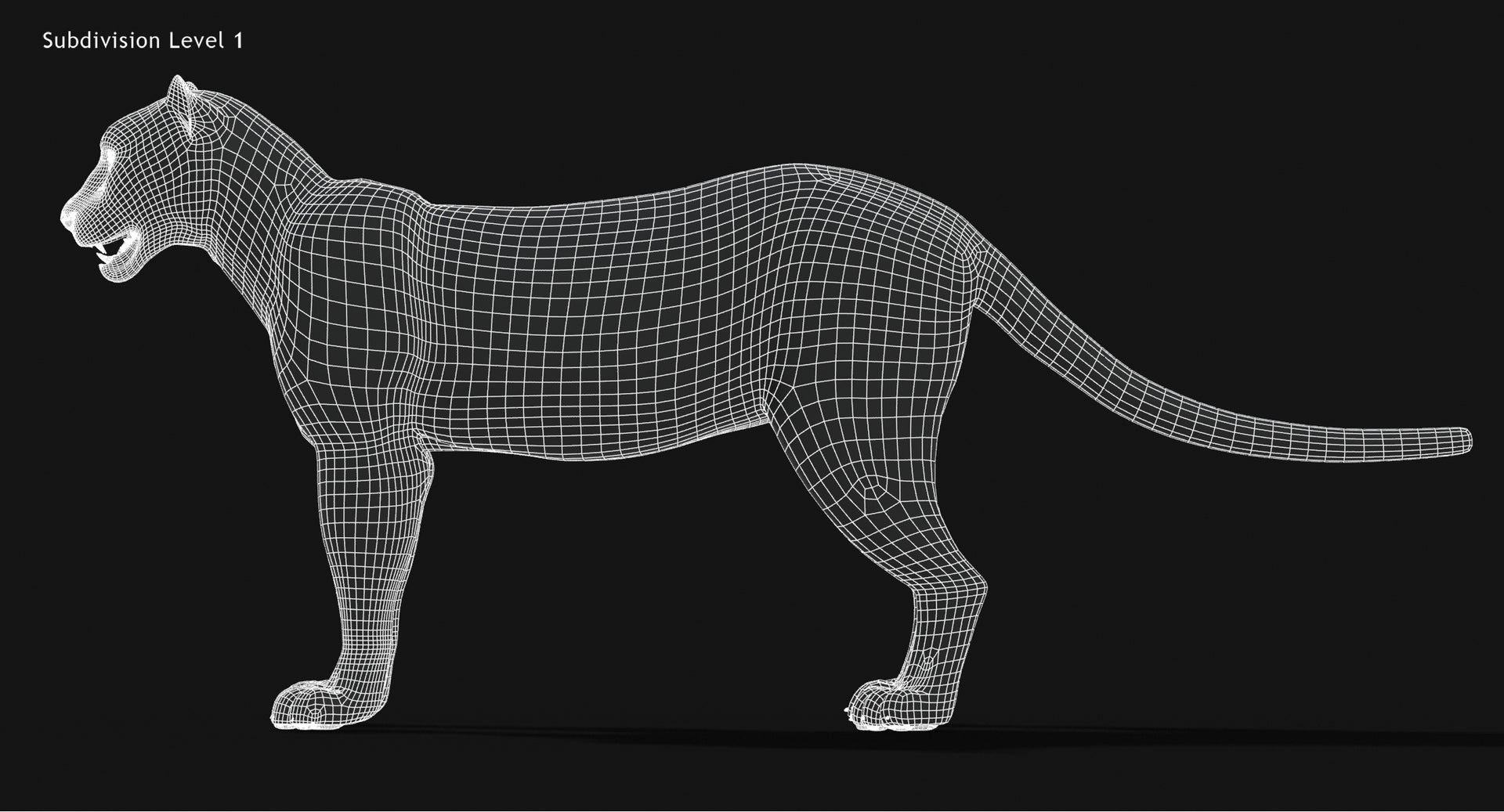 Snow Leopard 3D Model Wireframe view Subdivision Level 1